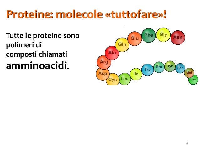 Che mangiare per sollevare una potenzialità
