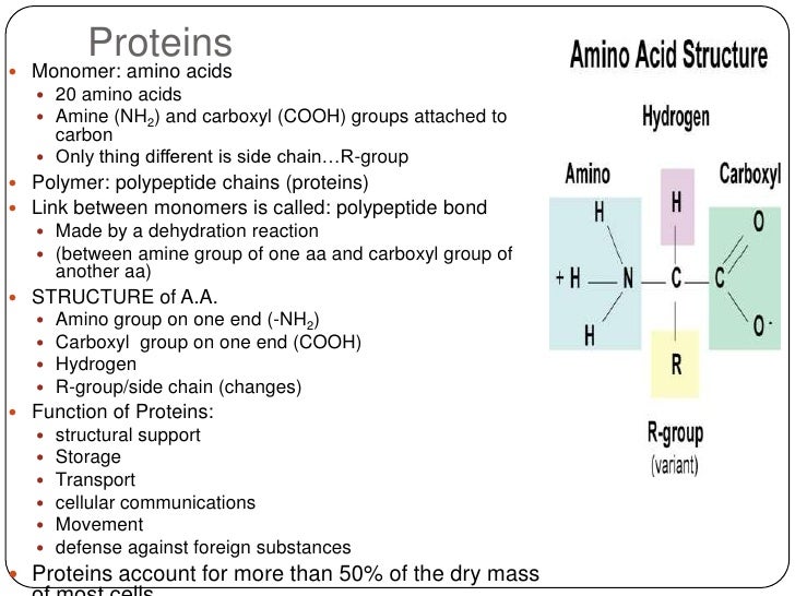 Macromolecule intro