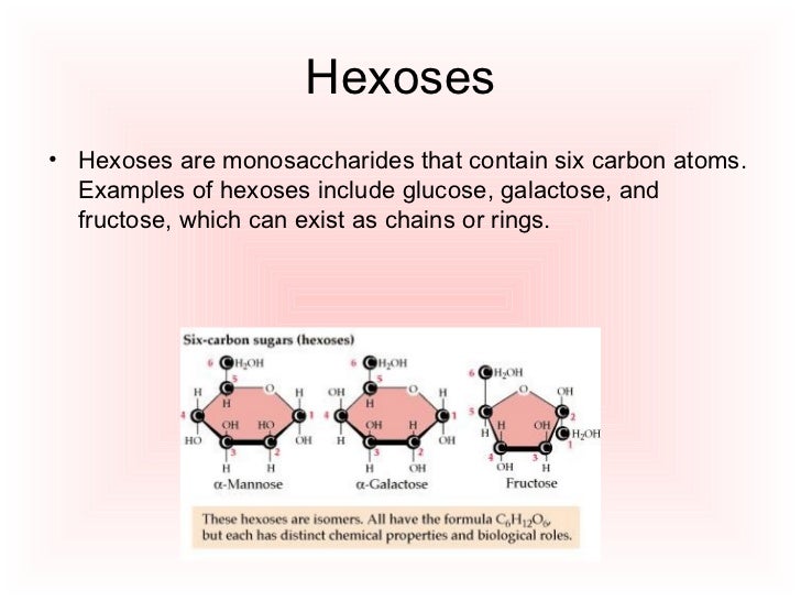 Macromolecules carbohydrates