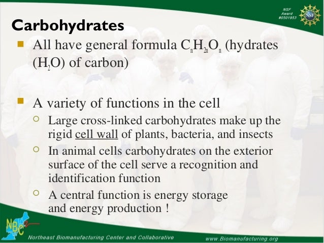 what are the subunits that make up carbohydrates what are the subunits that make up carbohydrates