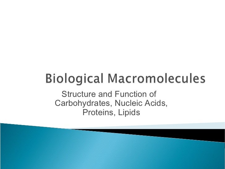 Macromolecules in cells