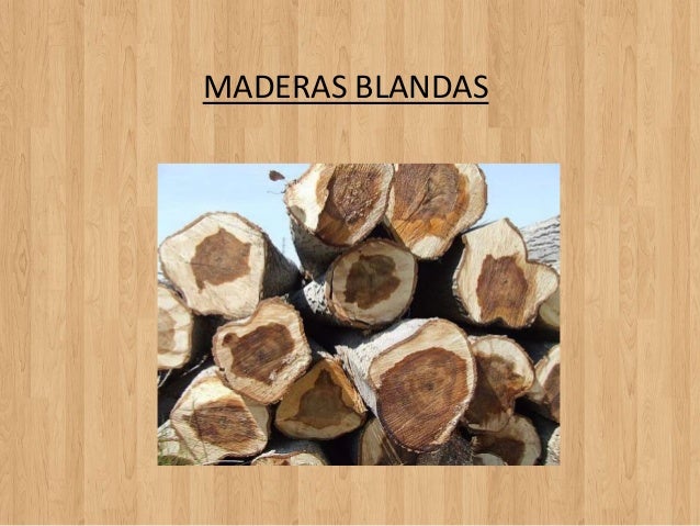 MADERAS BLANDAS 1.- Madera de tilo: La madera de tilo tiene un color  pálido, es muy blanda y fácil de trabajar. Estas característi…