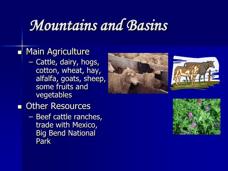 Natural Resources In Texas Mountains And Basins Natural Resources In Texas Mountains And Basins