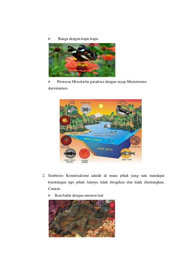 Makalah simbiosis 2