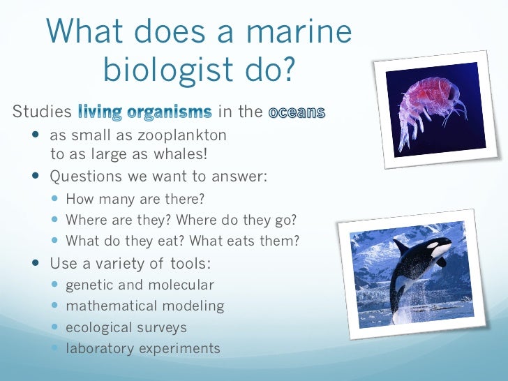 the gallery for gt marine biologist tools the gallery for gt marine biologist tools