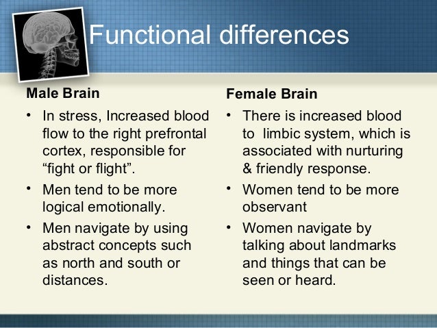 Essays on men and women differences