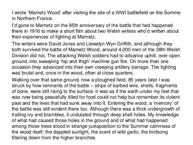 Mametz wood essay 05 picture