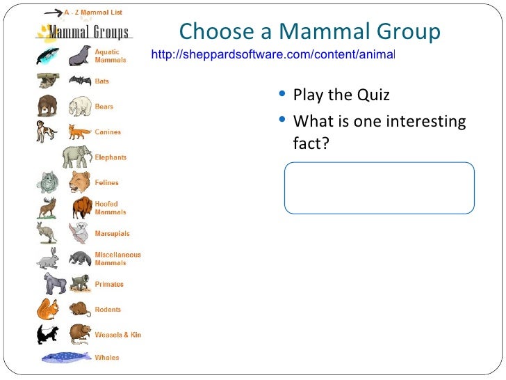 Images of mammals animals list - spfc wallpaper iphone katrina boom