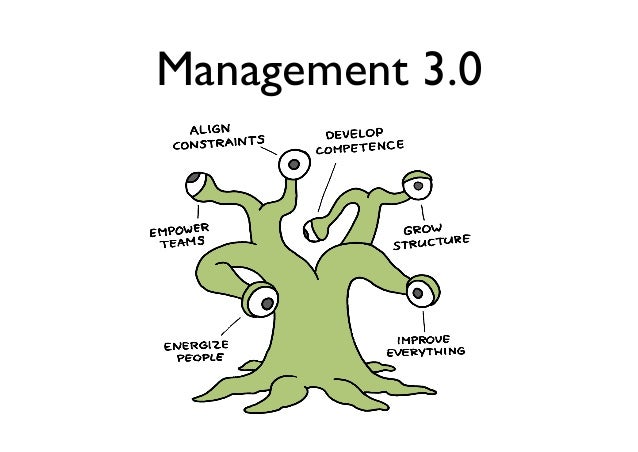 Management 3.0