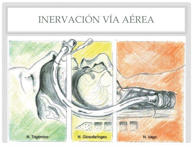 Manejo de vía aérea y ventilacion (atls)