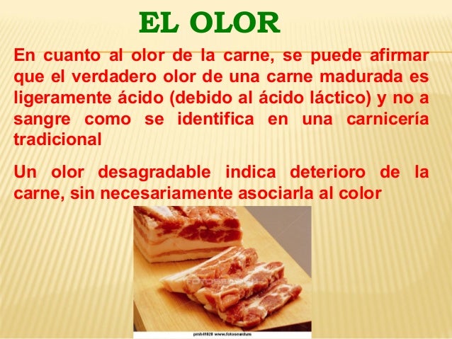 Manejo y conservación de la carne (1)