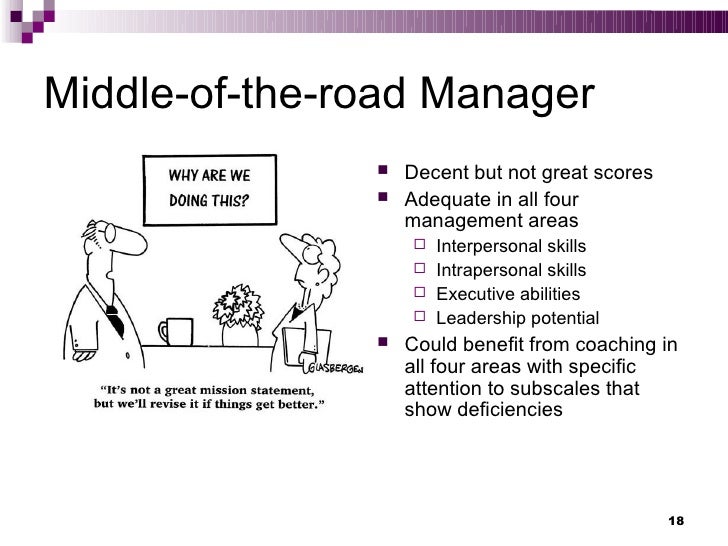 Management Style and Skills Test