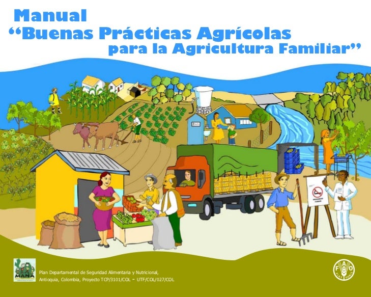 cadenas productivas fao inocuidad alimentaria cadenas productivas fao inocuidad alimentaria