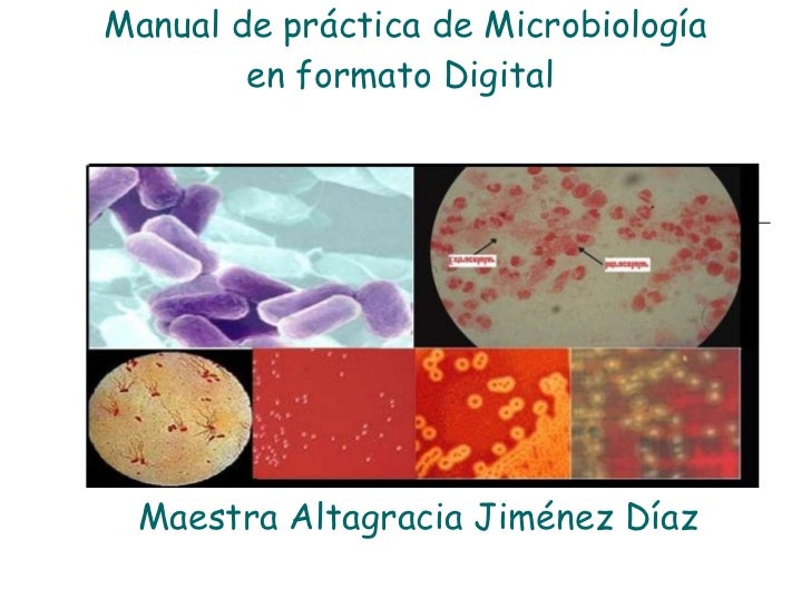 ebook A Democracia