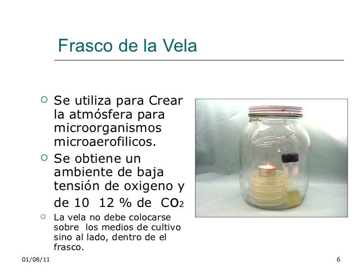 Manual laboratorio microbiologia