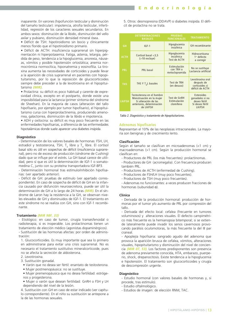 Manual amir endocrinologia 3ra ed