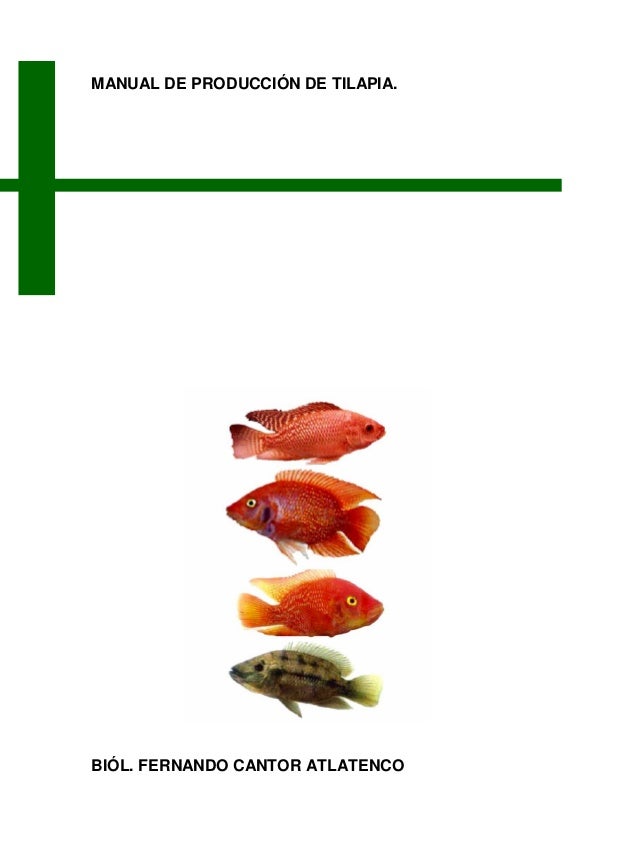 de crianza tilapias de manual