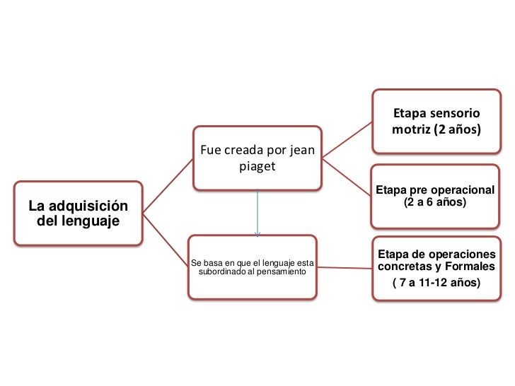 Mapa conceptual, adquisición del lenguaje