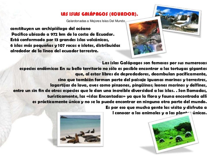 Donde conocer gente colmenar viejo Donde conocer gente colmenar viejo
