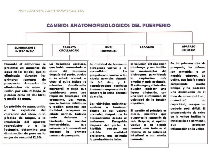 dieta alimentar para diabГ©ticos e hipertensos Mejor dieta alimentar para diabГ©ticos e hipertensos pasaba sin tener