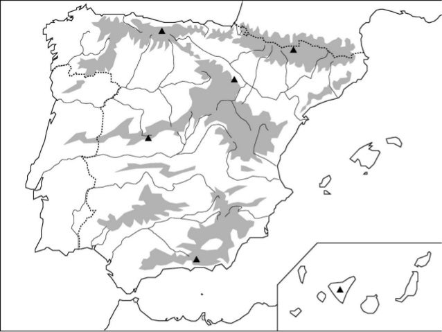 Mapa Mudo Relieve De España
