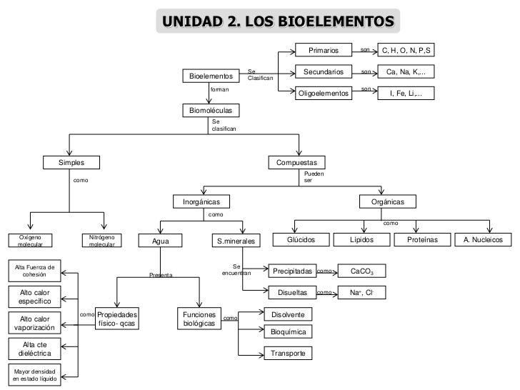 MAPAS CONCEPTUALES