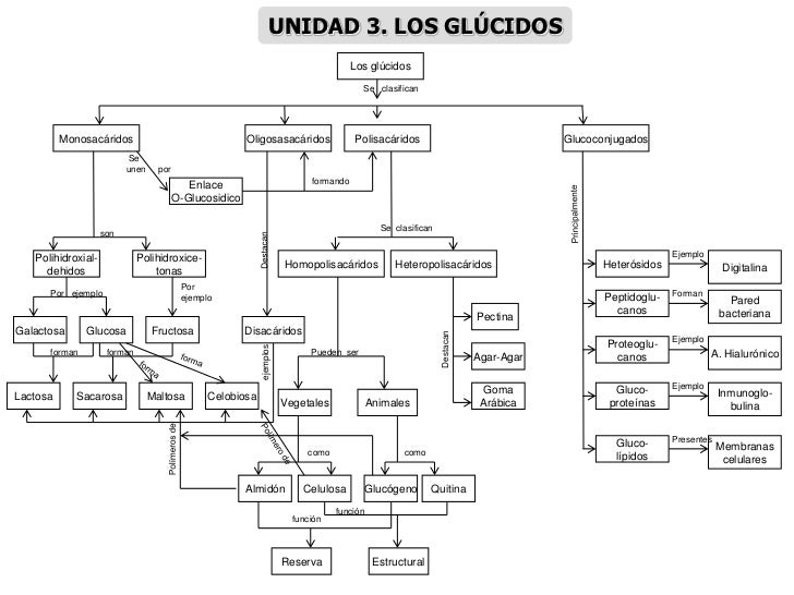 MAPAS CONCEPTUALES