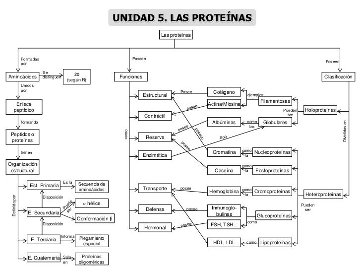 MAPAS CONCEPTUALES