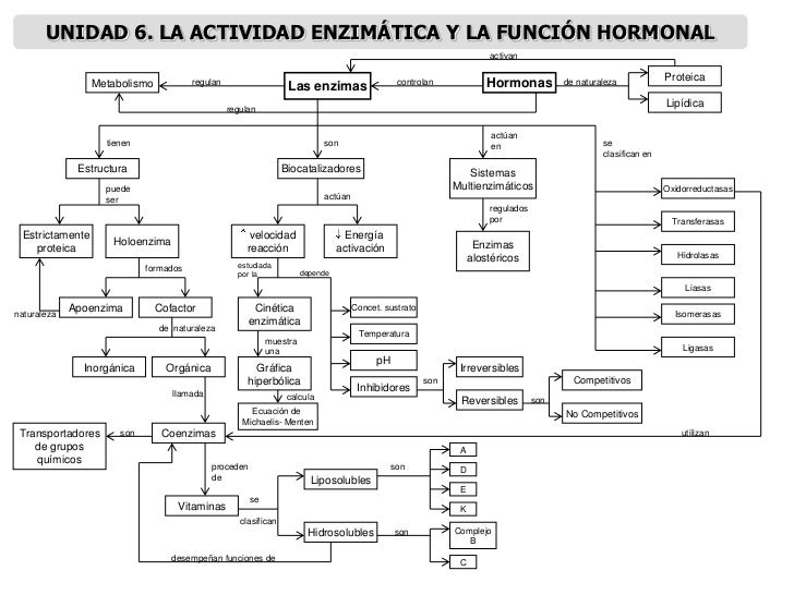 MAPAS CONCEPTUALES