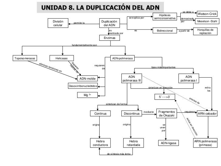 MAPAS CONCEPTUALES