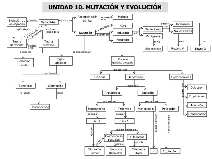 MAPAS CONCEPTUALES