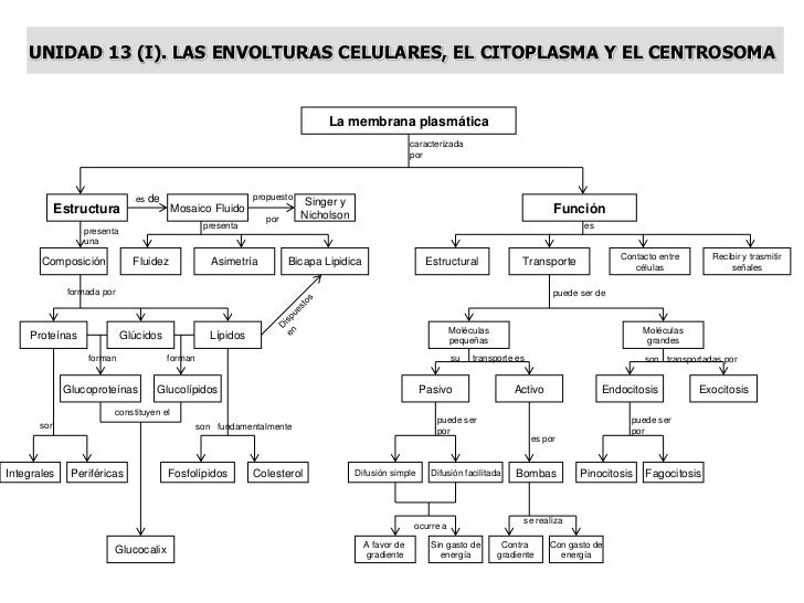 MAPAS CONCEPTUALES