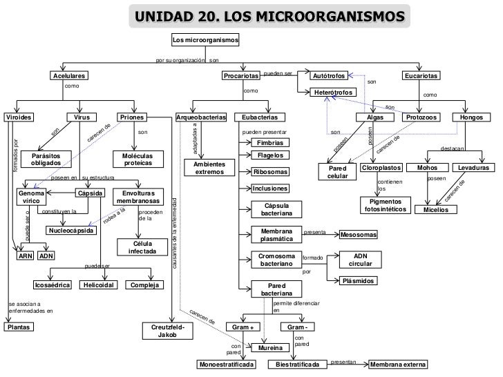 MAPAS CONCEPTUALES