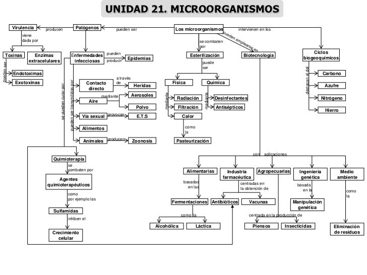 MAPAS CONCEPTUALES