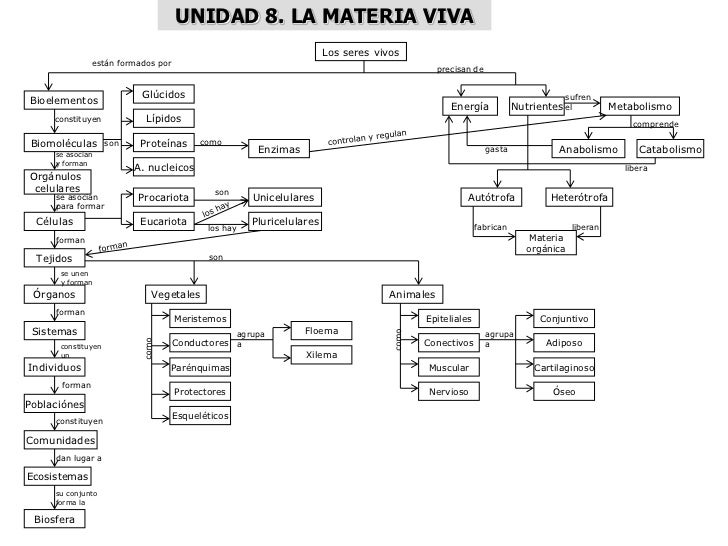 MAPAS CONCEPTUALES