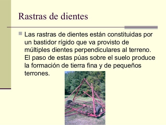 Como conocer que la persona adelgaza