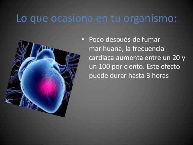 Não beber e não fumar para lançar