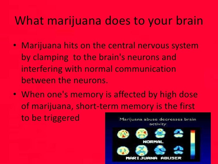 essay on short term memory loss essay on short term memory loss
