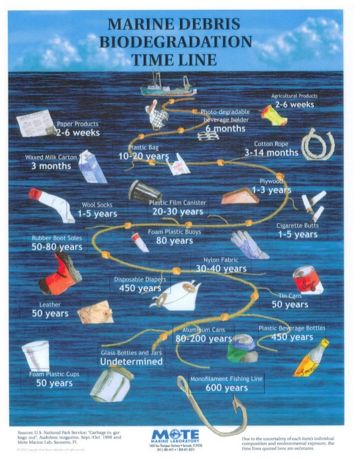 Marine biodegradation timeline