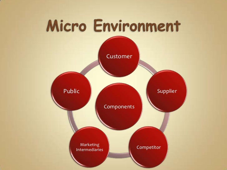 essays environmental forces essays environmental forces
