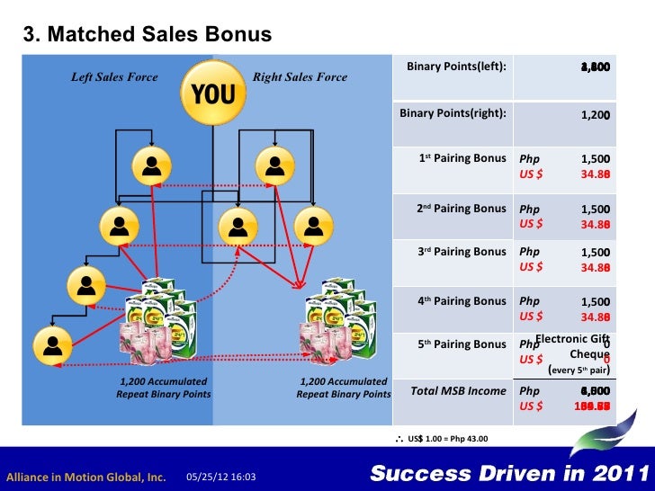 Mlm forex companies
