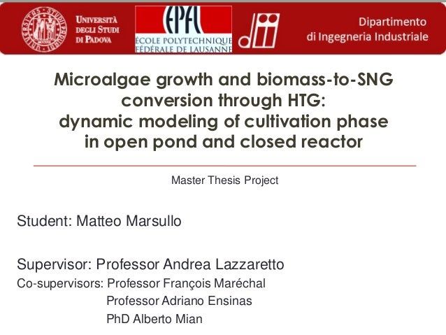Thesis on microalgae 05 image