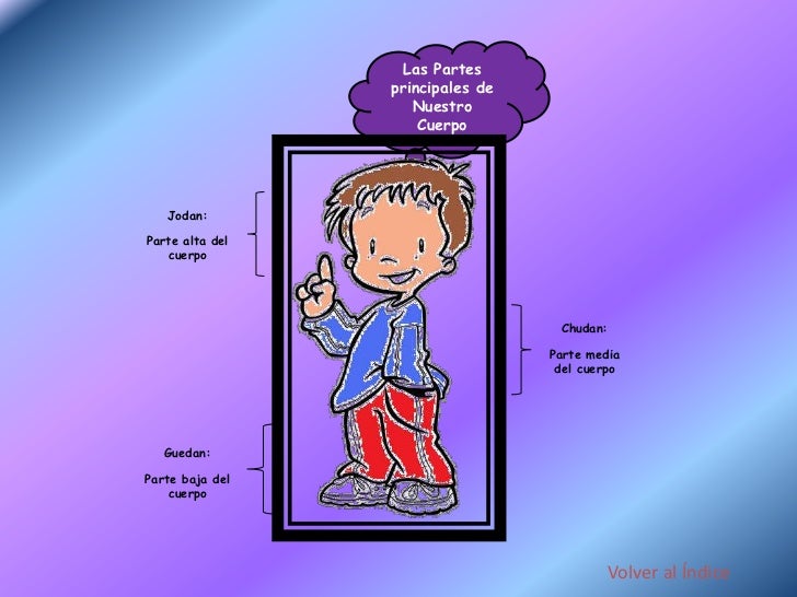 Las Partes principales de Nuestro Cuerpo Jodan:Parte alta del c...