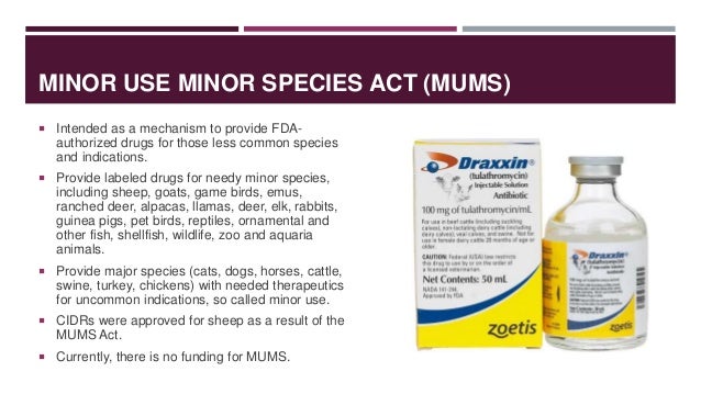Dexamethasone For Dogs Abortion