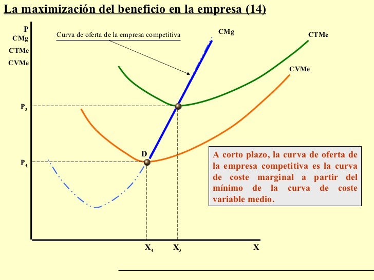 Maximizacion De Beneficios A Corto Y Largo Plazo
