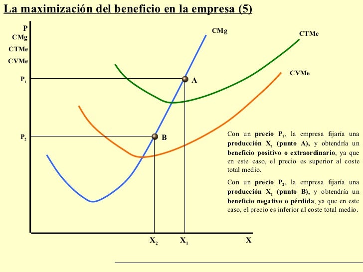 Maximizacion Beneficio