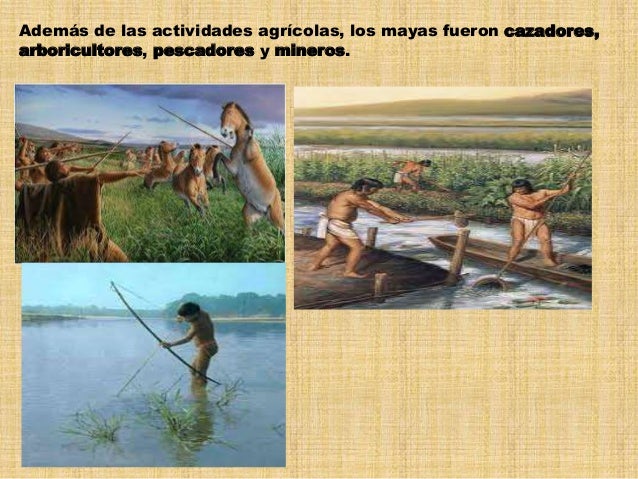 Mayas economía y sociedad