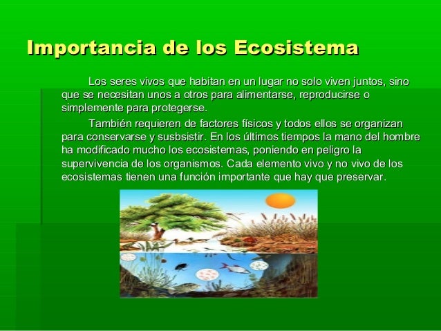 Mayra ecosistema