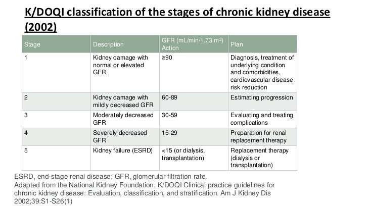 Kidney feature Gfr 59