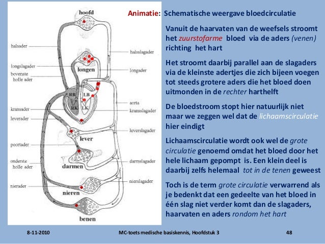 Mc toets medische basiskennis hoofdstuk 3